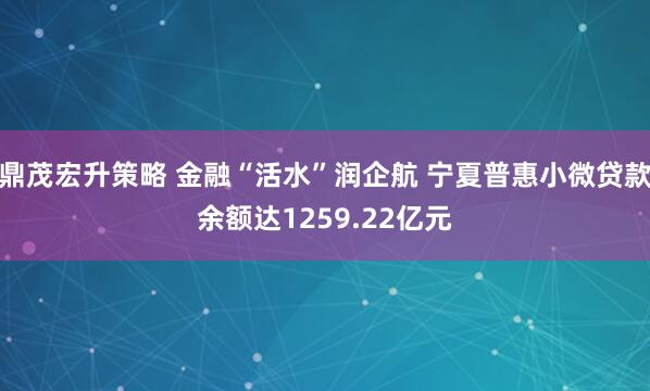鼎茂宏升策略 金融“活水”润企航 宁夏普惠小微贷款余额达1259.22亿元