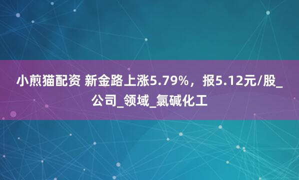 小煎猫配资 新金路上涨5.79%，报5.12元/股_公司_领域_氯碱化工
